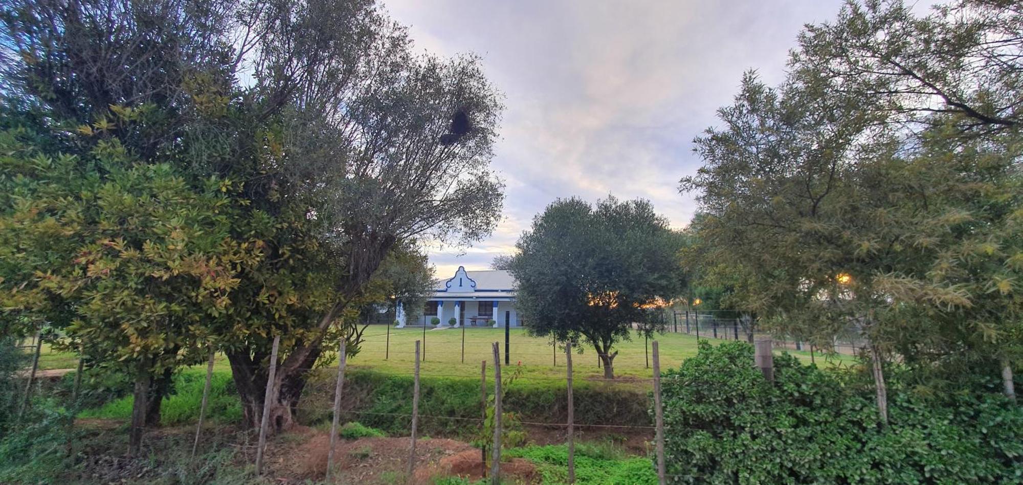 Vila Karoo Leeu Self Catering Oudtshoorn Exteriér fotografie